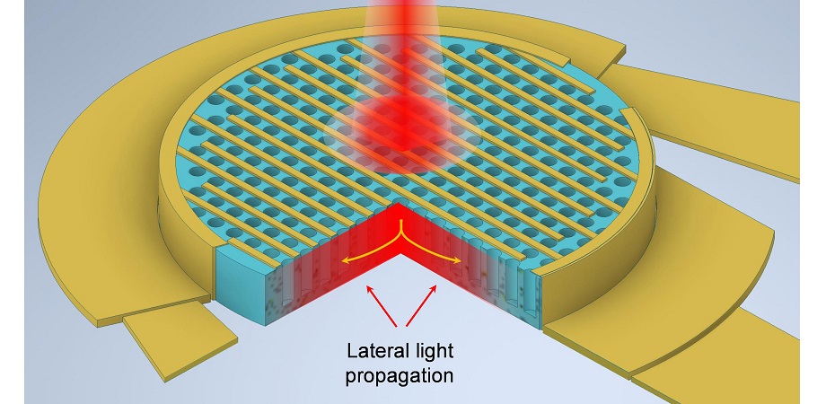 Enhanced light absorption in thin silicon photodetectors with